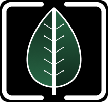 Wild Grove logo symbol