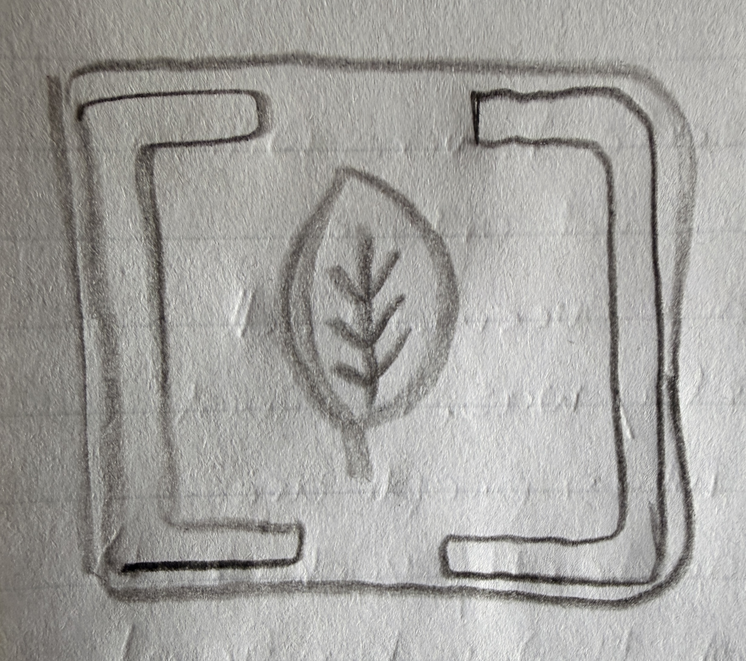 Drawn Wild Grove logo concept